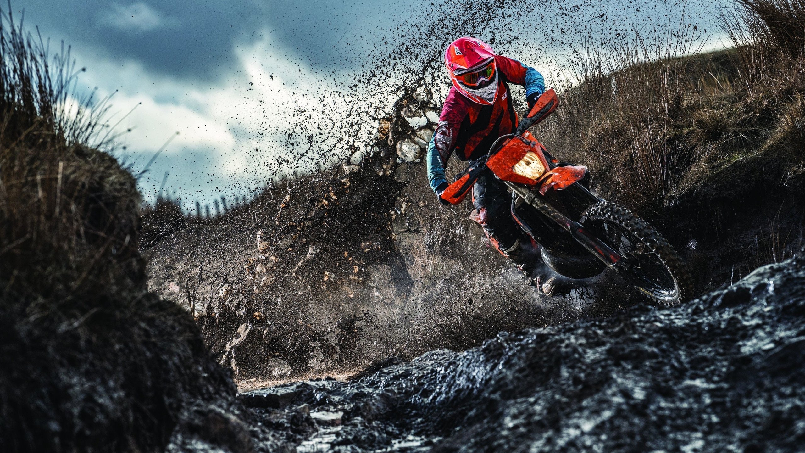 法国队与强敌激烈角逐表现出彩，法国队很强