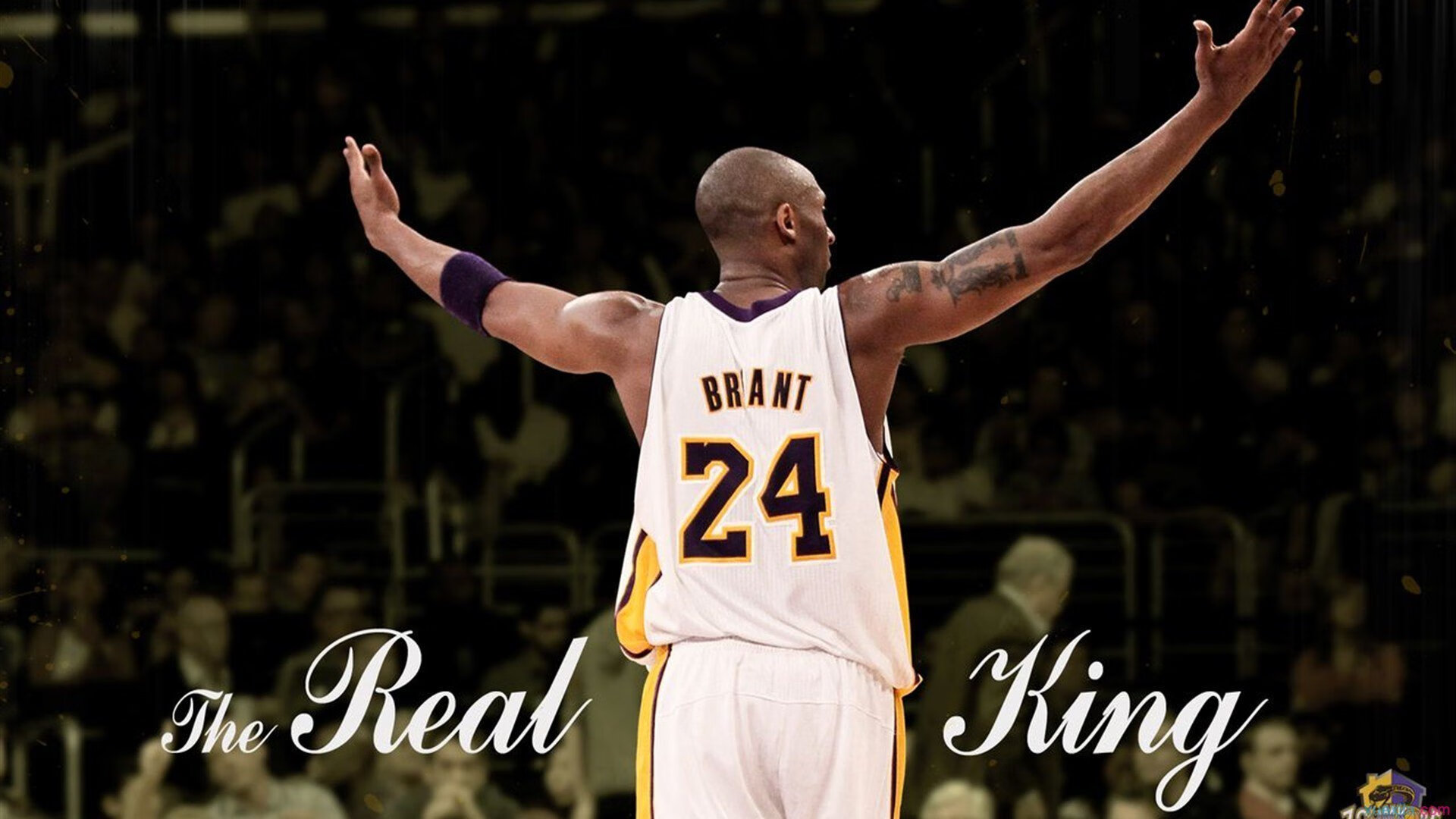 西亚卡姆传球视野开阔提升全队配合，西亚卡姆有潜力吗